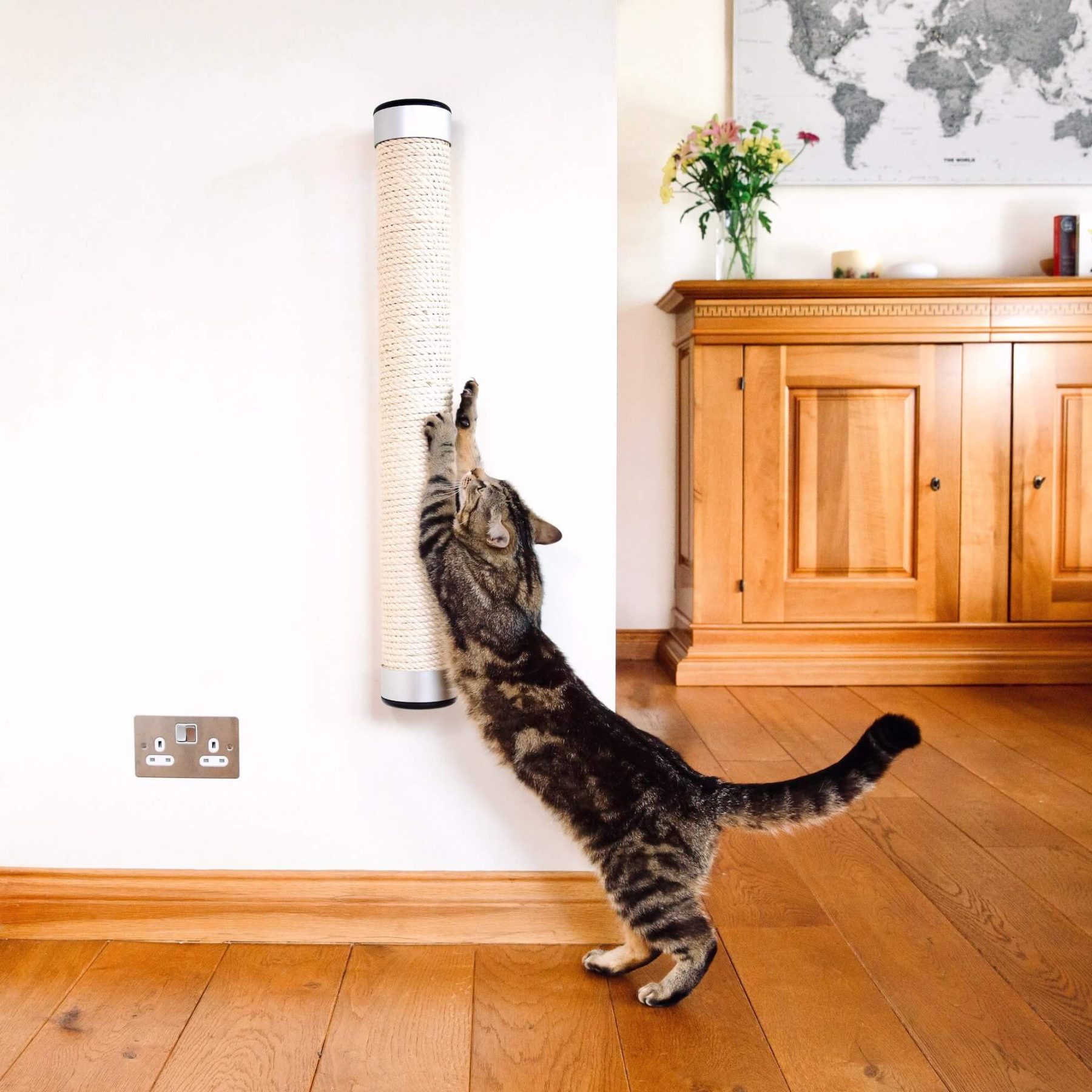 WallMounted Cat Scratcher Catipilla