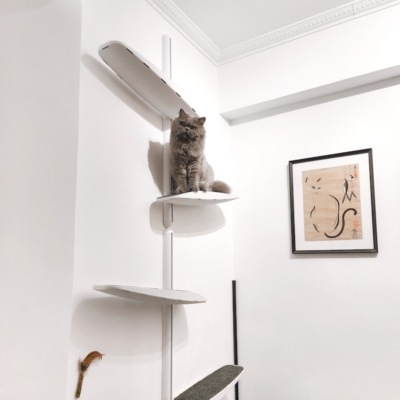 Catipilla Gallery: Stylish Photos of Existing Customer Installations