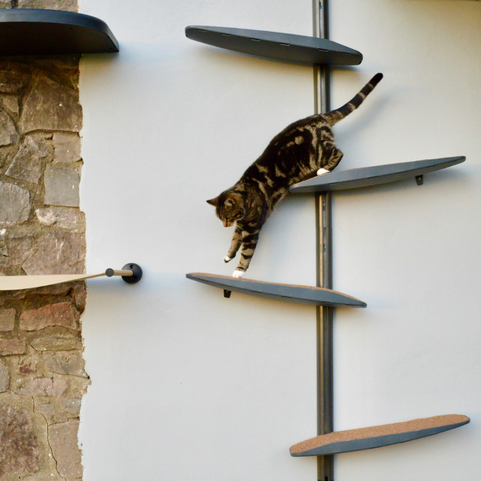 Wall-Mounted Cat Climbing Frames 